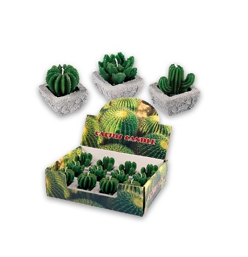 Dekorativní a relaxační svíčka CACTUS